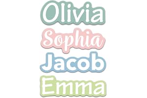 personalized waterproof name stickers for water bottles, custom vinyl name labels for tumblers 2026, dishwasher safe custom water bottle decals, personalized name stickers for kids cups, custom waterproof laptop and helmet labels